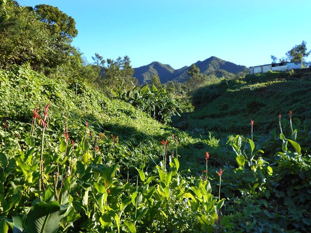 La butte Fougères, toujours en point de mire