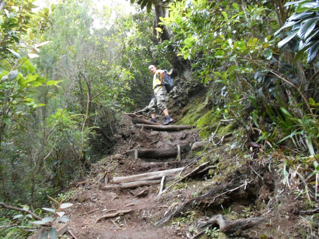 Une autre portion en forte pente sur marches en bois