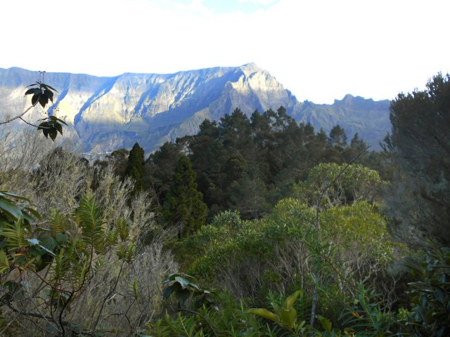 Une idée de la végétation qui entoure la zone