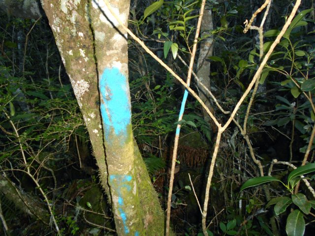 Un rappel de l'emplacement du terrier pour l'an prochain plutôt qu'une balise