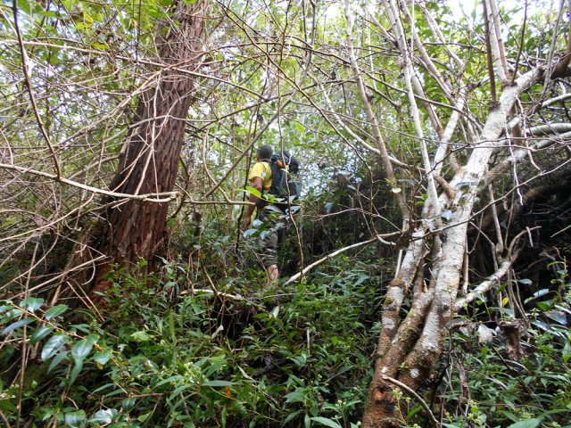Difficile de suivre le sentier de l'îlet abandonné