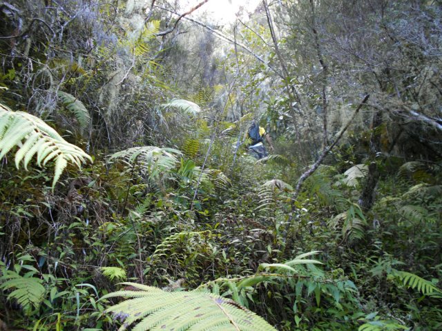 Le cheminement en montée constante est de plus en plus difficile