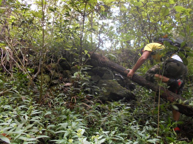 Plusieurs restes de murailles attestent de la présence d'un îlet au siècle dernier