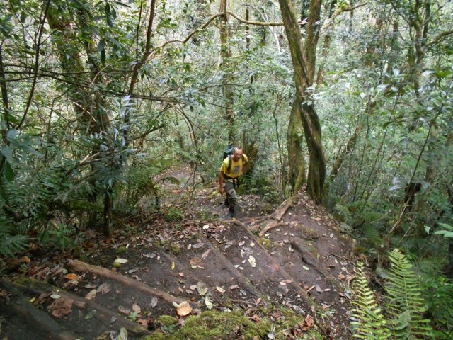 Très fortes montées en lacets courts sur le sentier de Gueule Rouge
