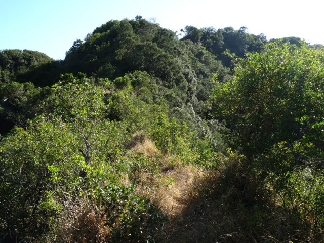 On chemine à un mètre des remparts des ravines du Trou et des Avirons
