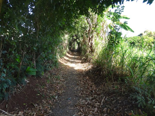 Une jonction de deux parties du Chemin des Vétyvers