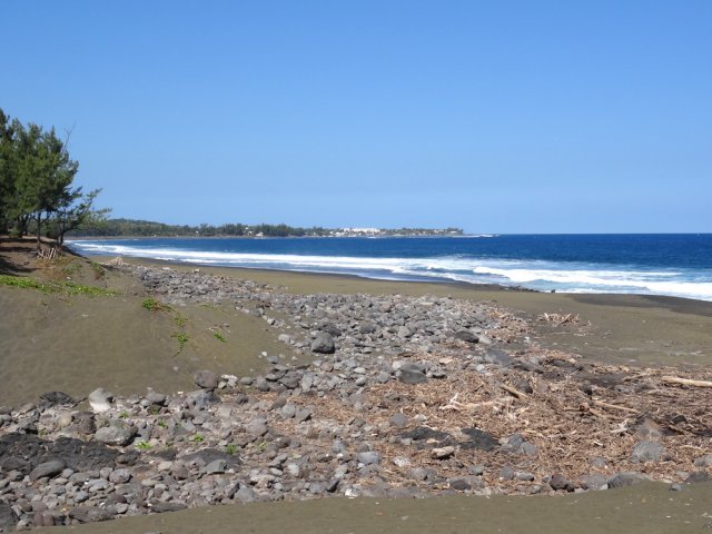 Profiter du temps qui reste pour, à la saison, guetter les baleines depuis la plage