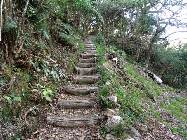 Les gros rondins ne devraient pas pourrir trop vite