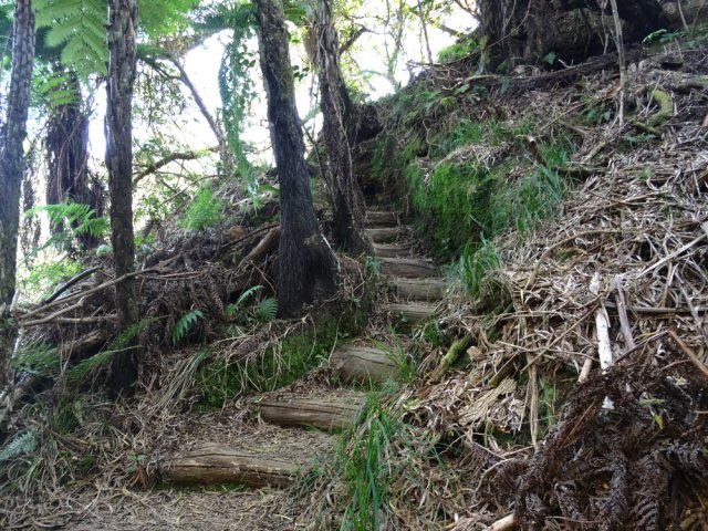 Courte descente vers la ravine à sec