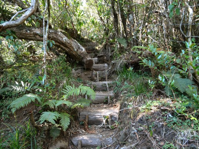 Remontée courte et forte après la ravine