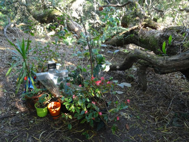 Lieu de recueillement pour Willy, mort sans doute ici à 22 ans