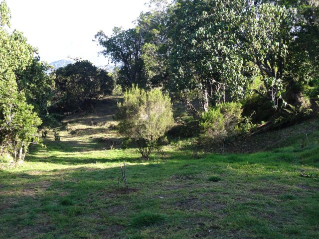 La zone dénudée, baptisée zone de pique-nique sera peut-être aménagée pour cela