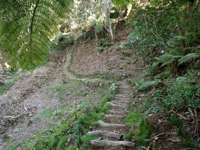 Très agréable descente vers la petite ravine rocheuse