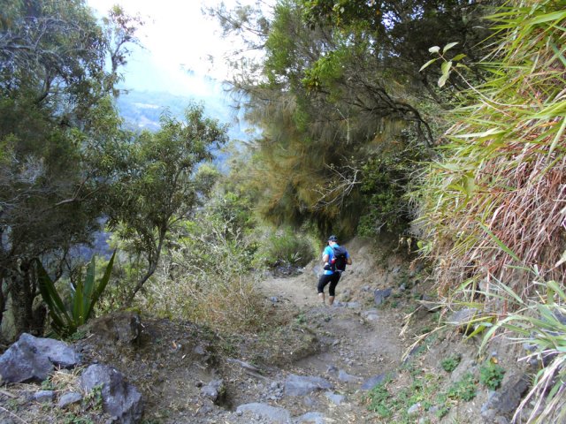 Début de la descente vers le Bras de Benjoin