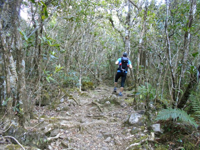 Tout le sentier qui longe la route est caillouteux ou sur racines
