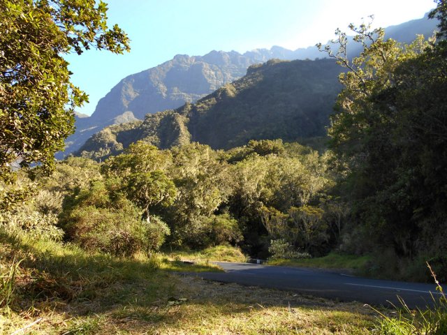 On surgit une première fois sur la route avant de replonger dans les bois de couleurs