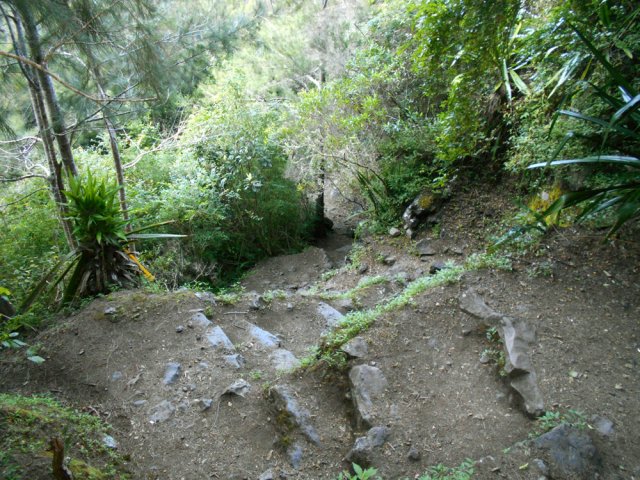 Le sentier est parfois assez pentu sur courts lacets