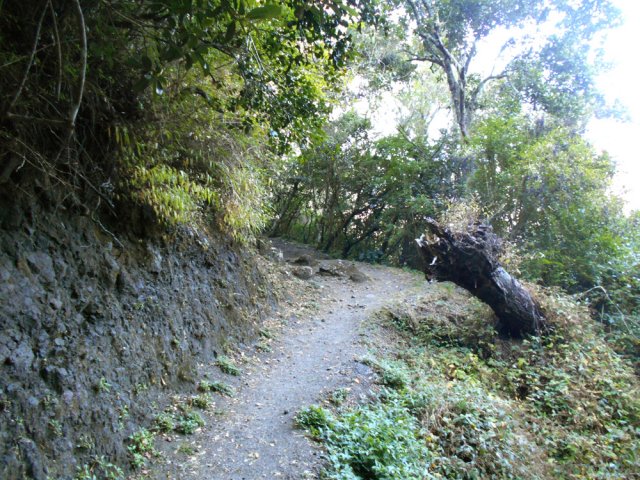 Une portion plate avant la fin de la montée vers Bras Sec