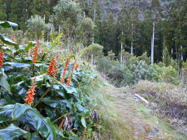 Début du Sentier des Sources après le stade de Bras Sec