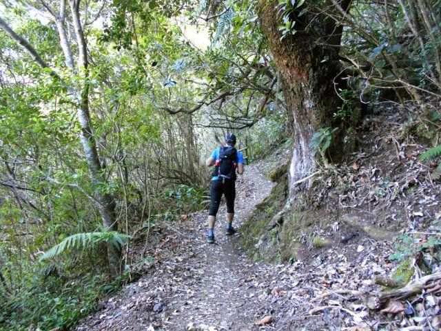 Dernière portion plate avant la vertigineuse descente