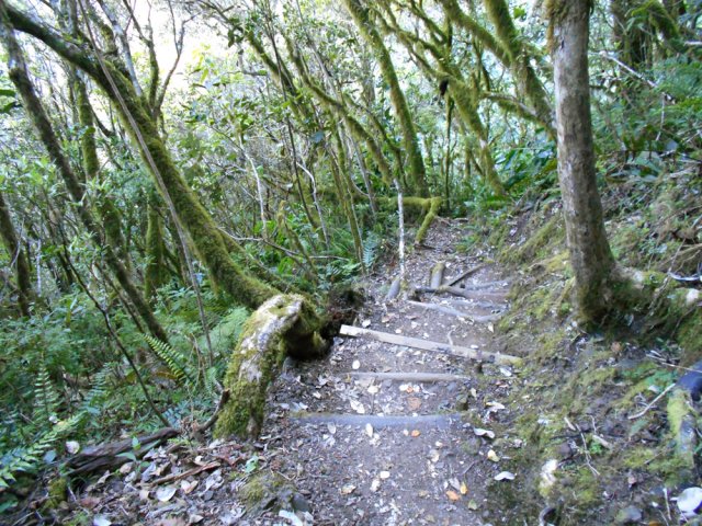 Plus on descend et plus la pente est abrupte sur marches en bois