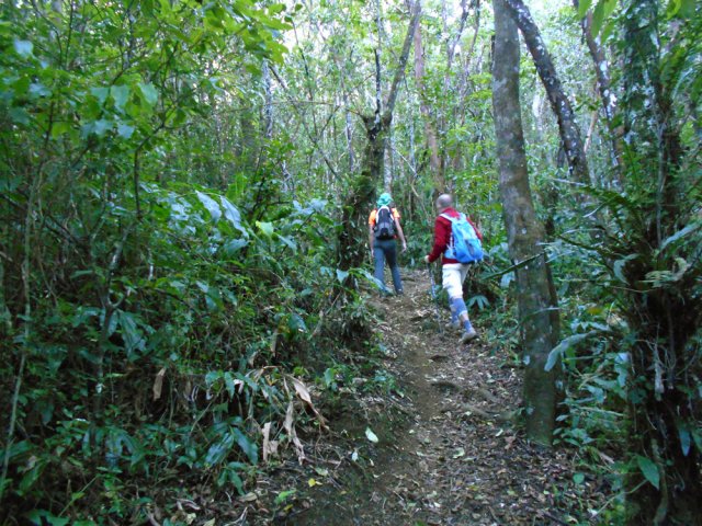 L'agréable sentier du Bois de Bon Accueil et de la Découverte