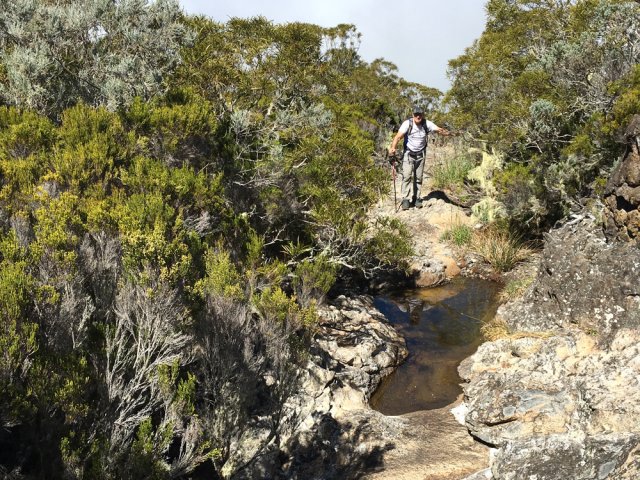 Pour terminer la montée vers la route, autant finir par le fond de la ravine