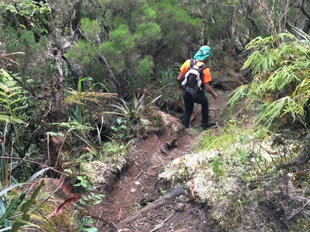 Le sentier de la 11ème ligne en forte descente constante