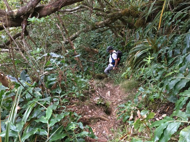 Les longoses de la 11ème ligne