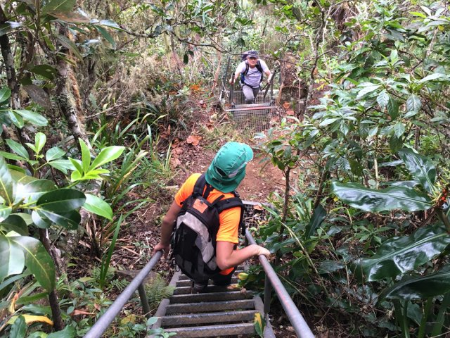 Plusieurs échelles font gagner beaucoup de temps
