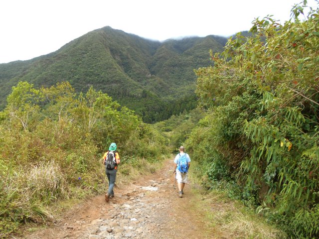 Fin de la boucle par la RF des Goyaves