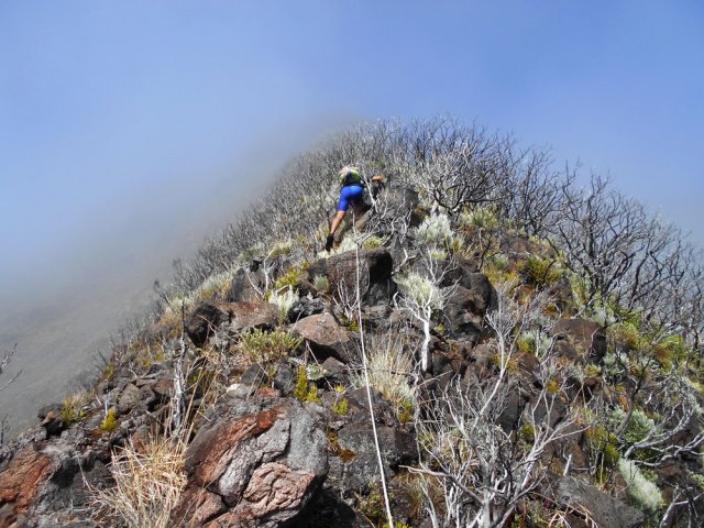 La brume empêche de voir le chemin parcouru