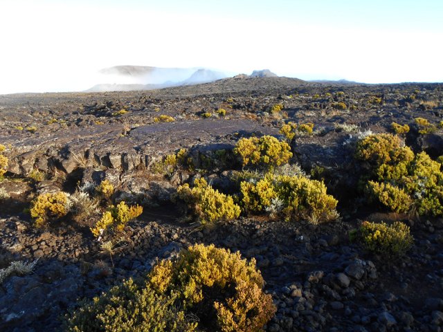 A 2300 m d'altitude, rien ne pousse ou presque