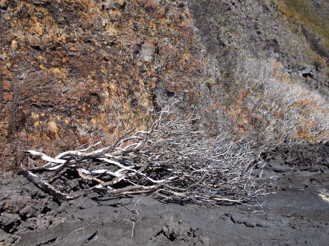Vingt ans de vie déjà difficile réduite en fumée en quelques minutes