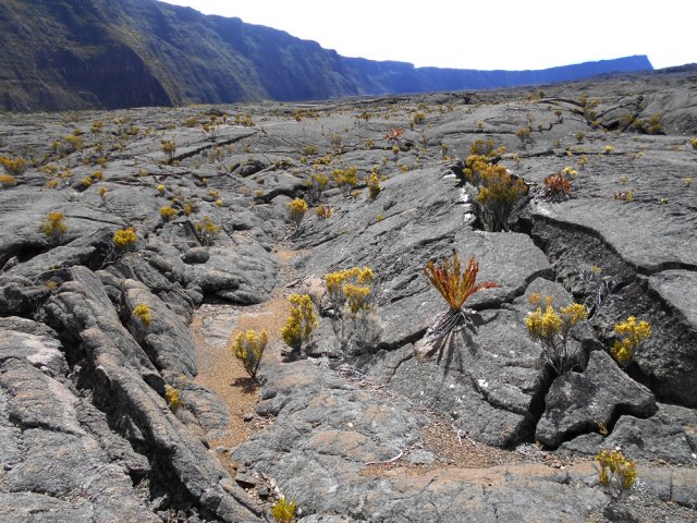 Après les gratons, c'est l'autoroute ... mais en montagnes russes