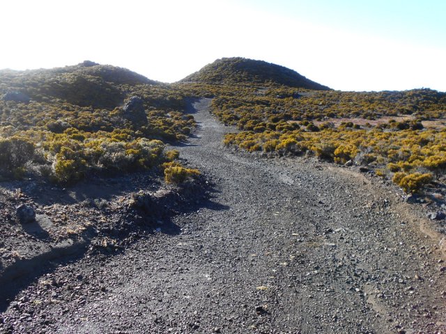 La piste vers le Piton de Bert a récemment été refaite