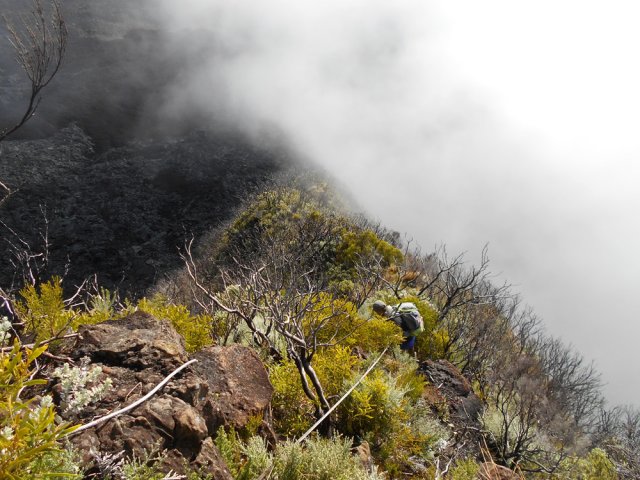Débute une courte mais très difficile descente