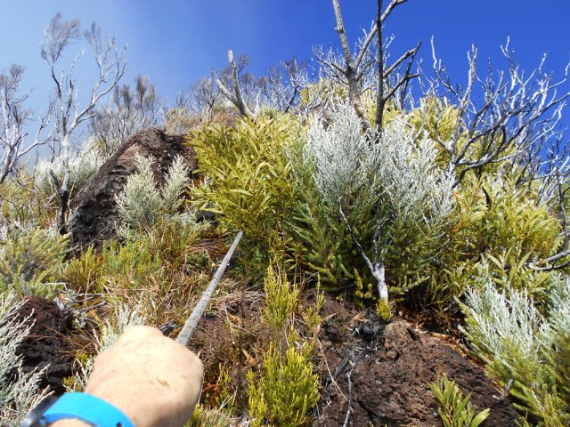 Des cordes sont installées aux endroits très verticaux
