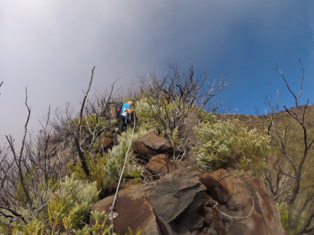 Il vaut mieux une bonne corde plutôt qu'un branle vert mort sous les flammes