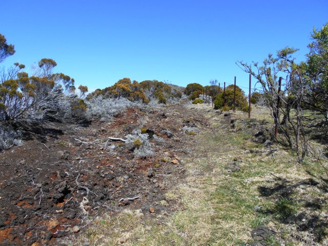 Large passage près d'anciennes clôtures, tout près du bar