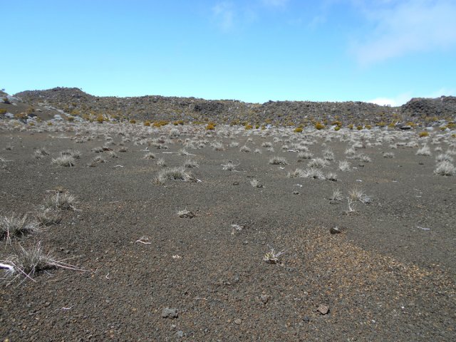 Le fond sableux qui ne doit pas garder l'eau en cas de pluie