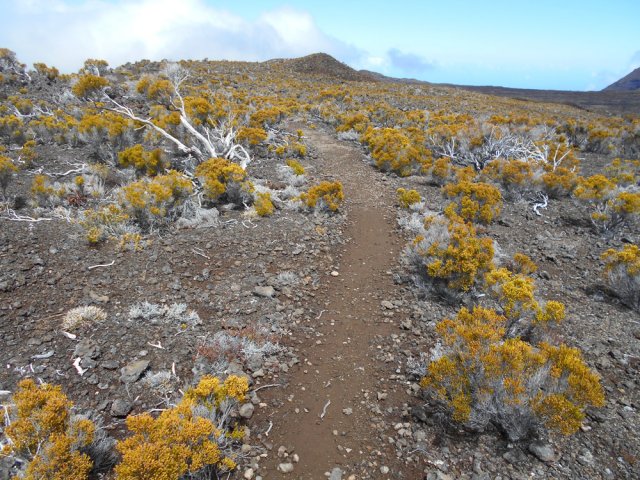 Une autre portion usée par les semelles
