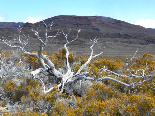 Le Piton Chisny est tout proche. Plus bas la piste et le GRR2