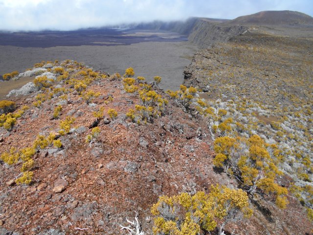 Vue plongeante depuis le petit piton à 2395 m d'altitude