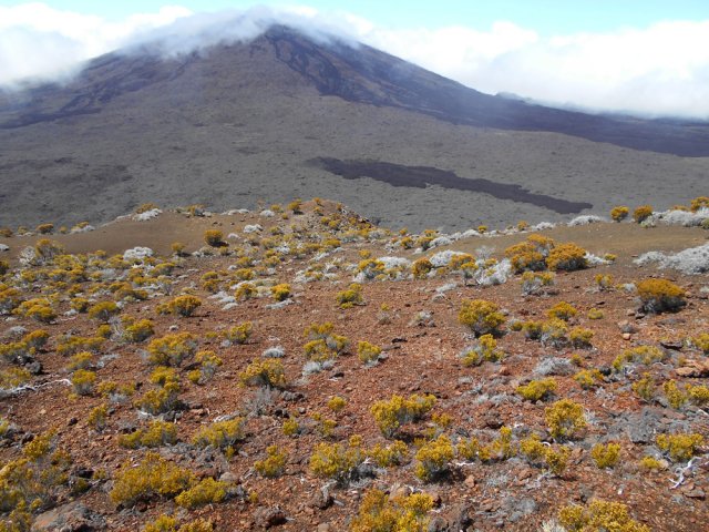 Autre vue plongeante vers la Fournaise depuis le même piton