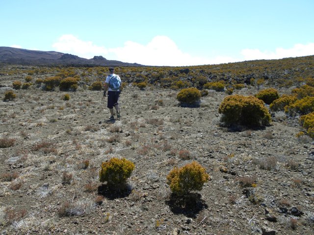Une partie du hors sentier vers la piste