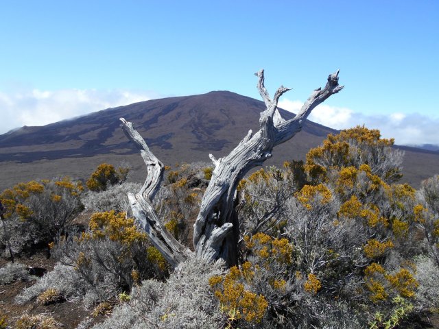 La face sud du Piton de la Fournaise
