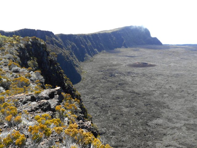 Petit coup d’œil en arrière vers le Formica Leo
