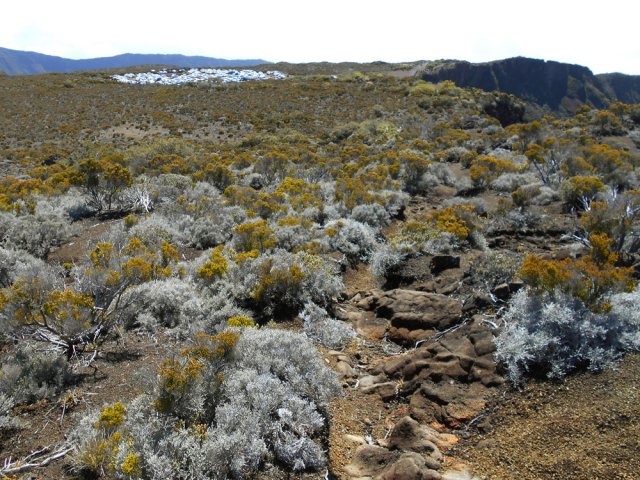 Le parking du Pas de Bellecombe. La mode est au blanc pour les véhicules !