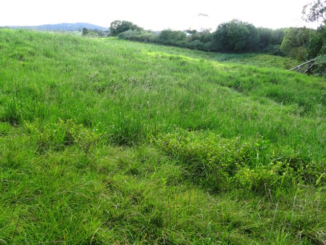 On frôle les prairies avant de repartir vers le domaine